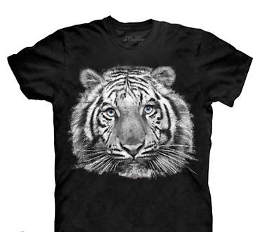 Другие услуги: Шелкография качественно, быстро, вывоз доставка бесплатно . адрес at lalafo.kg — 4 Другие услуги: Шелкография качественно, быстро, вывоз доставка бесплатно . адрес — 4