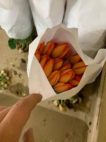 Букеты из живых цветов: В оптомв розницу — 13