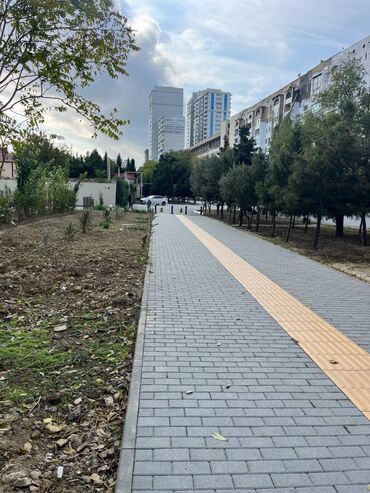 Mağazalar: Bakı şəhəri yasamal rayonu Şəfayət Mehdiyev küçəsində, Grand həyat və — 14