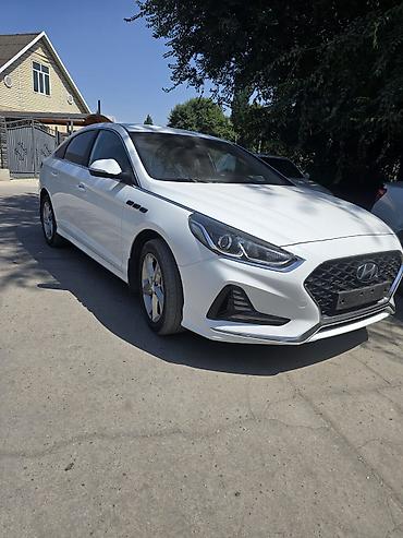 sonata dn: Hyundai Sonata: 2021 г., 2 л, Автомат, Газ, Седан — 1