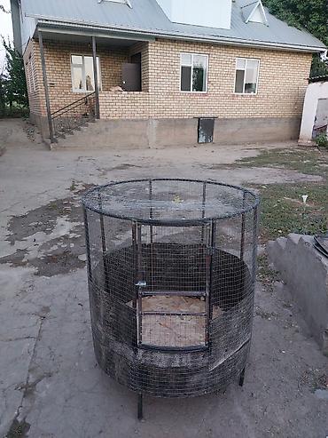 корова молочная купить: Дакан Капас Дакан Короздорго Клетка — 1