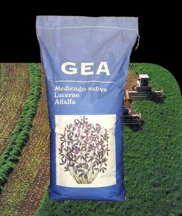 Овощи: Семена овощей: Помидоры, Огурцы, Лук, Самовывоз, Бесплатная доставка, Платная доставка — 29