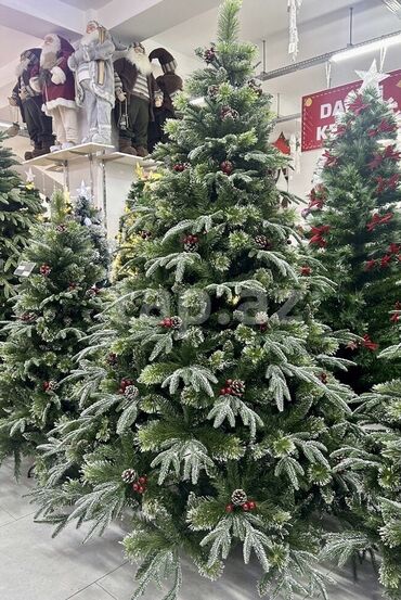 yeni il yapışqanları: Şam ağacı 180 sm, Yeni