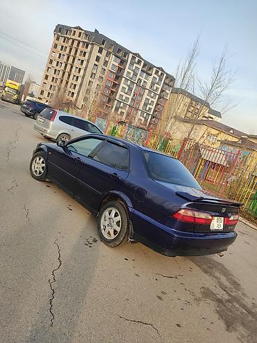 Honda: Honda Torneo: 2000 г., 1.8 л, Автомат, Бензин, Седан — 11