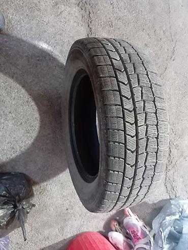 snos 385: Зимняя шина Dunlop 215/60 R16 95Q - Бренд/модель: Dunlop (зимняя — 1