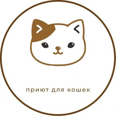 ваты: Приют для кошек/котят