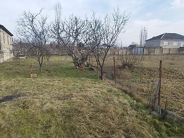 obyekt satılır sumqayıt: 2 sot, Tikinti, Kupça (Çıxarış), Texniki pasport — 4