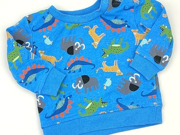 Sweatshirt, St. Bernard, 3-6 months, condition - Very good