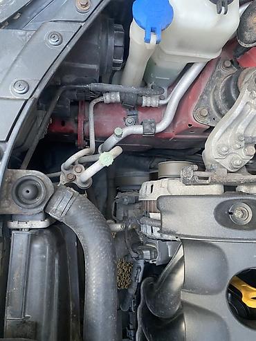 Hyundai: Hyundai i30: 1.4 l | 2007 il Hetçbek — 10
