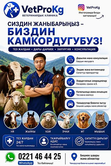 VetProKg — ветеринарная клиника для сельскохозяйственных и домашних