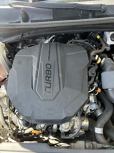 range rover evoque: Kia Sportage: 2021 г., 2 л, Автомат, Дизель, Кроссовер — 7