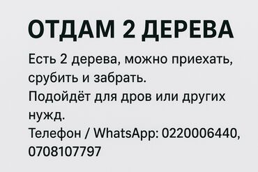 продаю ореховое дерево: Дрова Самовывоз