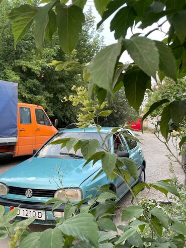 опель вектора с: Volkswagen Volksbus: 1993 г., 1.6 л, Механика, Бензин, Хетчбек