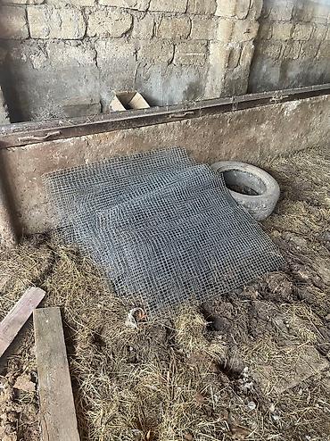 metal setka: Paslanmayan setka bakıdadır,məhəmmədi kəndində — 4
