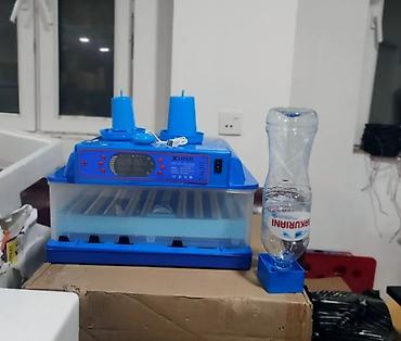 Inkubator inqibator inkibator inqubator incubator Ən Yeni Expert model — 5