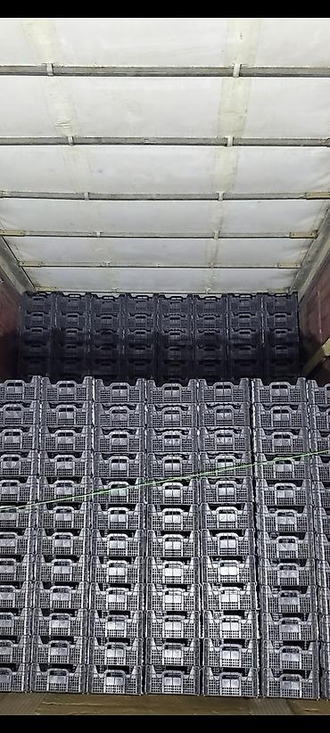 Konteynerlər: Plastik yeşiklər – topdan Məhsulun təsviri: - Material: yüksək — 12