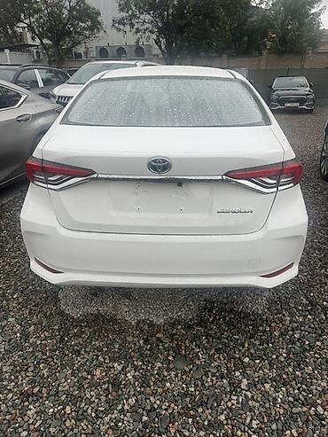 windom 2001: Toyota Corolla: 2019 г., 1.8 л, Автомат, Гибрид, Седан — 4