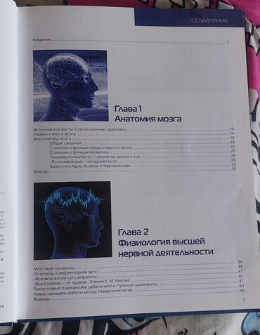 Саморазвитие и психология: Книга: «Книга для будущей леди. Будь уверенной! Будь яркой! Будь — 7