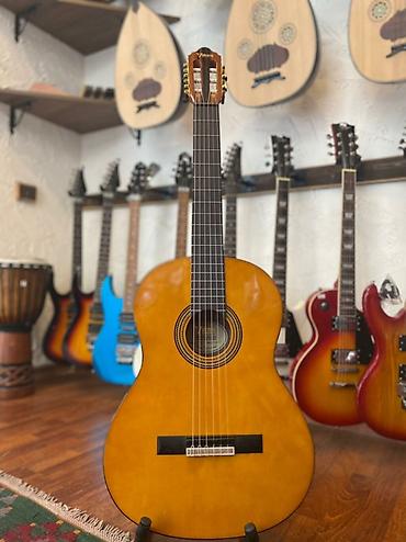 valencia gitara: Valencia VC 264 — 1