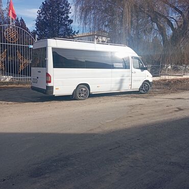 степвагон 1999: Mercedes-Benz Sprinter: 1999 г., 2.9 л, Механика, Дизель, Бус