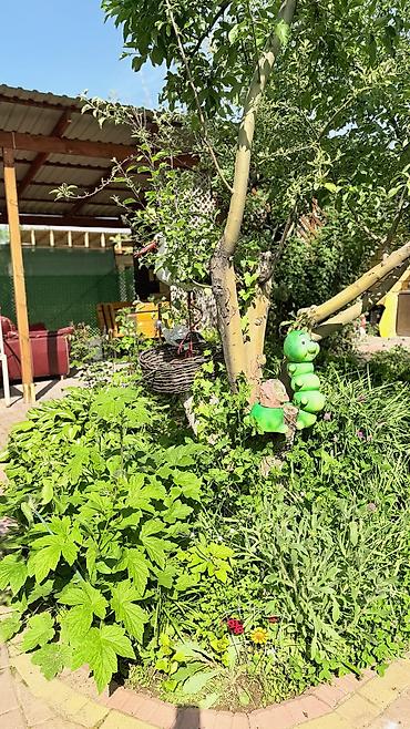 Продажа дач: Продам дачу село Таш-Добо отапливаемый кирпичный дом с мансардой — 5