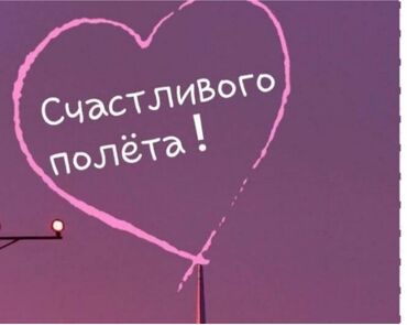 арзан билет: Эң арзан сиздер үчүн ыңгайлуу баада авиабилет алгыңыздар келсе