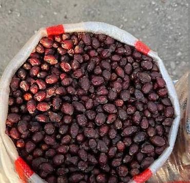 Куплю шиповник сушёный оптом