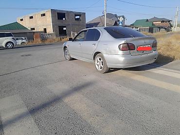 altezza lexus: Nissan Primera: 2001 г., 1.8 л, Механика, Бензин, Хэтчбэк — 1