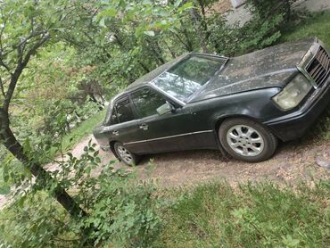 домашние животные купить: Mercedes-Benz E-Class: 1989 г., 2.3 л, Механика, Бензин, Седан