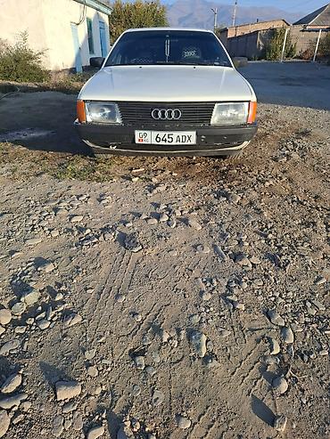 Audi: Audi 100: 1988 г., Седан — 13