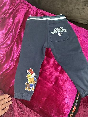 Боди: Боди — 23