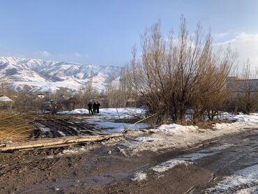 Продажа участков: 5 соток, Красная книга — 12