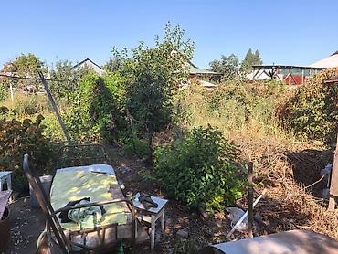 район вефы: 6 соток, Для сельского хозяйства, Договор купли-продажи, Красная книга, Тех паспорт — 1