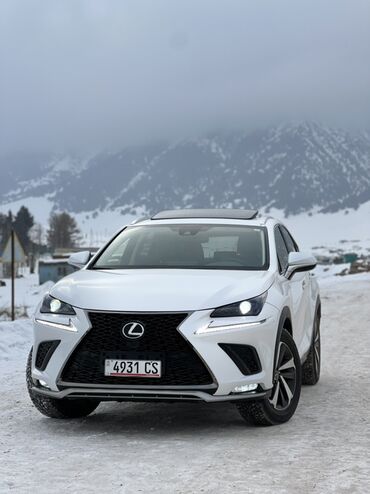 Lexus: Lexus NX: 2020 г., 2 л, Автомат, Бензин, Кроссовер — 6
