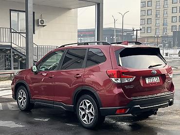 Subaru: Subaru Forester: 2019 г., 2.5 л, Вариатор, Бензин, Кроссовер — 5