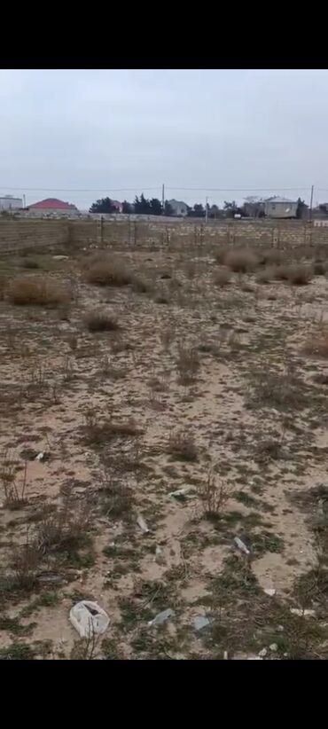 turkanda torpaq satisi: 12 sot, Biznes üçün, Mülkiyyətçi, Kupça (Çıxarış), Bələdiyyə, Müqavilə