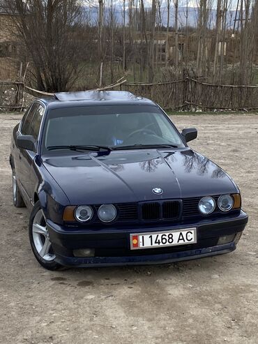BMW: BMW 520: 1989 г., 2.5 л, Механика, Бензин, Седан