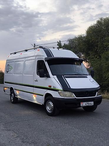 Mercedes-Benz Спринтер: 2004 г., 2.9 л, Механика, Дизель, Бус