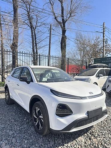 Great Wall: Great Wall : 2026 г., Электромобиль, Кроссовер — 9