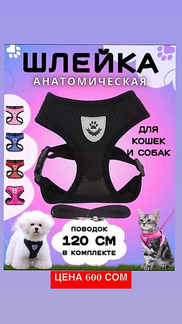 хохо: Одежда для собак и кошек. По размерам НОВАЯ. ЦЕНА НА ОДЕЖДУ ОТ 200 — 9