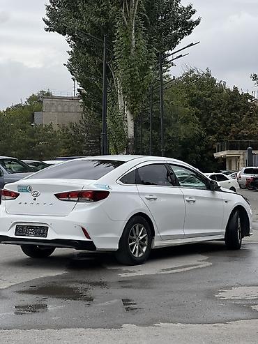 honda stream решетка: Hyundai Sonata: 2019 г., 2 л, Автомат, Газ, Седан — 5