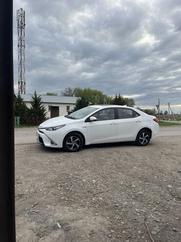 Toyota: Toyota Corolla: 2017 г., 1.8 л, Автомат, Бензин, Седан