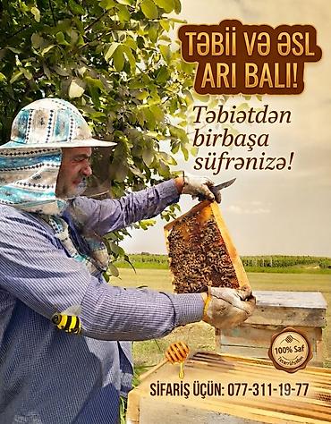 agac tingleri satilir: Tovuz meşələrində bir birindən fərqli, əhəmiyyətli çiçəklərdən əldə — 1