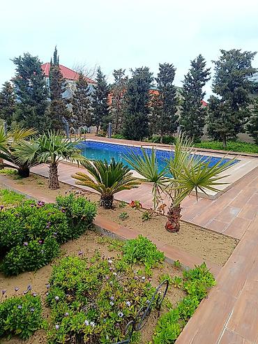 kireditlə: Bağ evi – geniş həyət və həyət abadlığı ilə Quyu suyu icmeli.Hovuz — 6