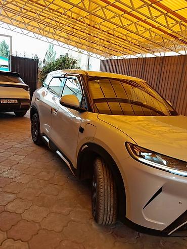 BYD: BYD Yuan Plus: 2025 г., Электромобиль, Кроссовер — 3