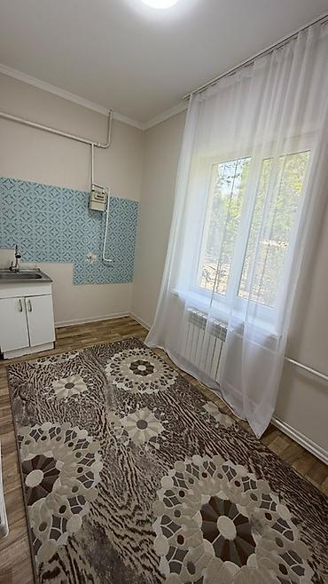 35: 1 комната, 35 м², ул. Московская / Манаса (Белинка) 106 серия улучшенная, 1 этаж, Свежий ремонт — 2