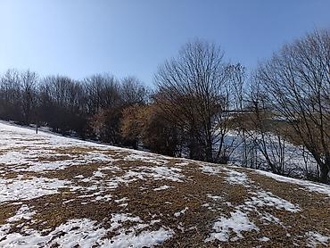 Torpaq sahələrinin satışı: 100 sot, Mülkiyyətçi, Bələdiyyə — 8