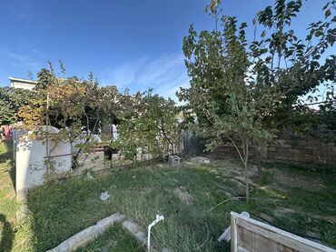 Bağ evlərinin kirayəsi: 80 kv. m, 3 otaqlı, Hovuzsuz, Kombi, Qaz, İşıq — 3