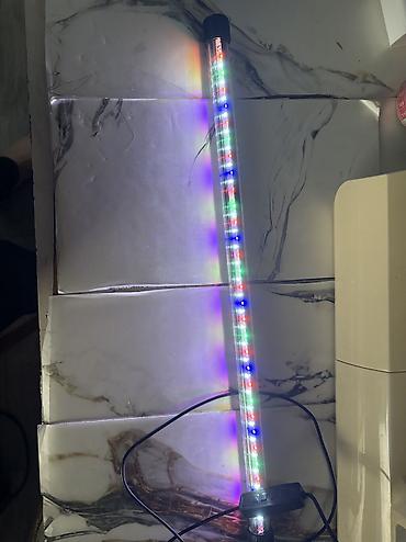 akvarium matoru: Led işıq su da işliyir 48 sm 5-6 cür yanır işıq artırıb azaltmaq olur — 1