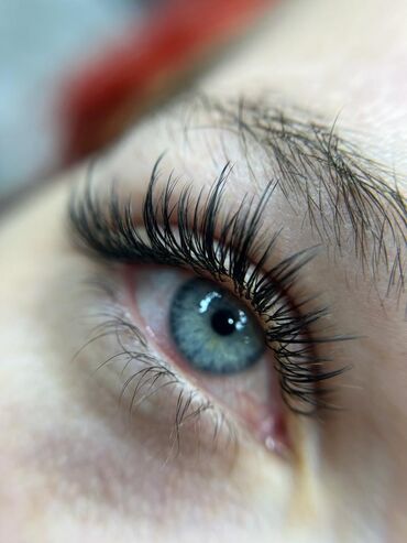 Ресницы: Ресницы, Голливуд, Классика, 2D, Требуются модели — 9